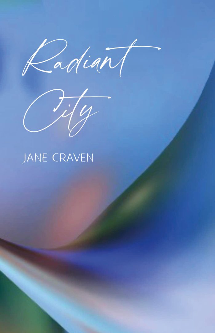 A blue and white book cover with the title of " radiant city ".