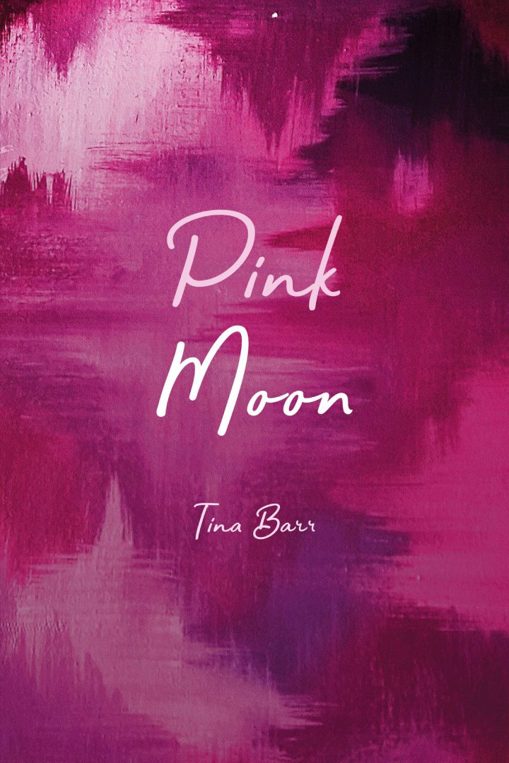 A pink painting with the words " pink moon ".